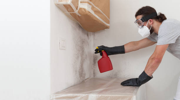 Professional Crawl Space Mold Remediation technician working in Arlington, VA