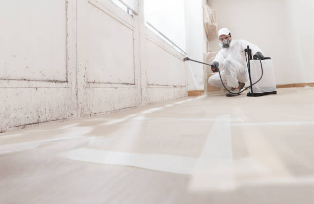 24/7 Emergency Crawl Space Mold Remediation experts in Arlington, VA