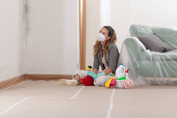 Reliable Crawl Space Mold Remediation contractor in Arlington, VA by Mold Remediation HQ