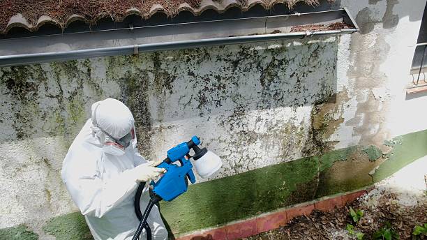 Top rated local Crawl Space Mold Remediation specialists in Arlington, VA